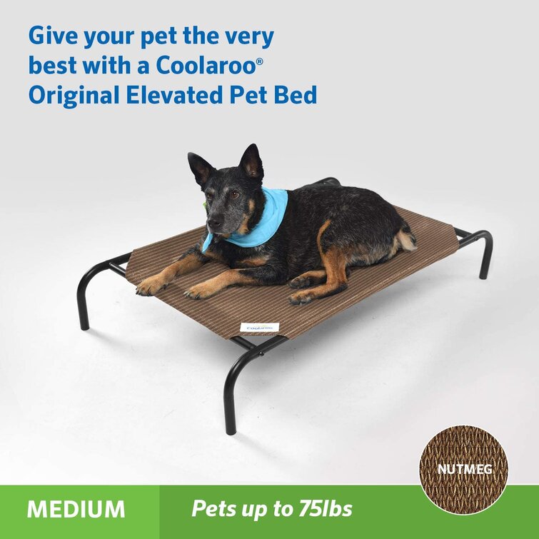 Original Elevated Pet Bed Cot